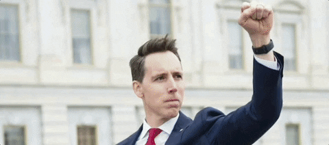 Senator Josh Hawley, whipping up the Trumpist seditionist mob and then bravely running away when they breached the Capitol.