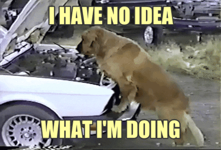 Meme perro haciendo de mecánico con texto: "I have no idea what I'm doing"