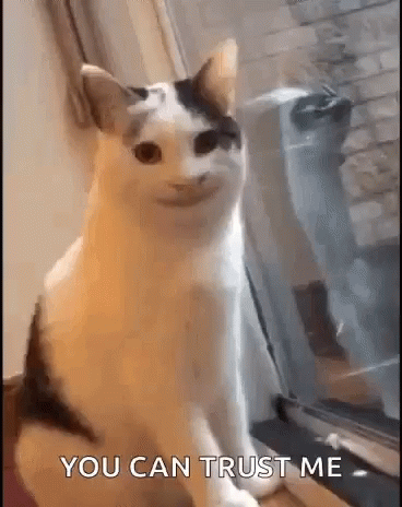 Smiling Cat Creepy Cat GIF - SmilingCat CreepyCat Cat GIFs