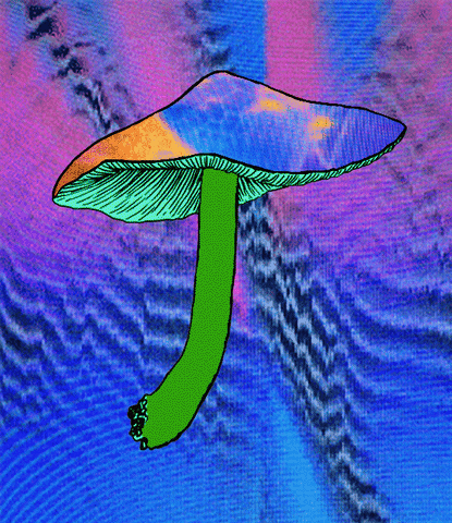 pola trippy vhs mushroom psychedelics GIF