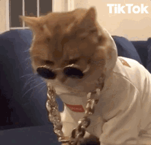 Cool Cat Chilling GIF - CoolCat Chilling Sunglasses GIFs