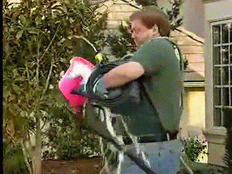 Infomercial GIFs - Get the best GIF on GIPHY