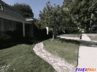 Fedex GIFs - Get the best GIF on GIPHY