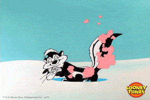 Pepelepew GIFs - Get the best GIF on GIPHY
