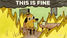 This Is Fine GIFs | Tenor