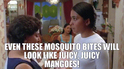 YARN | even these mosquito bites will look like juicy, juicy mangoes! | Bend  It Like Beckham (2002) | Video gifs by quotes | cbba4be3 | 紗
