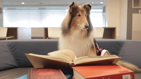 read texas am GIF by Texas A&M University read texas am GIF by Texas A&M University