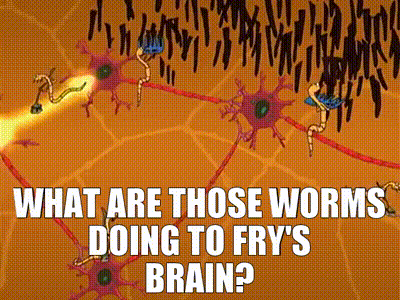 YARN | What are those worms doing to Fry's brain? | Futurama (1999) -  S03E04 Comedy | Video clips by quotes | d50609ba | 紗