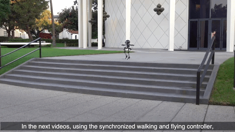 Watch LEO the robot fly and skateboard | Popular Science