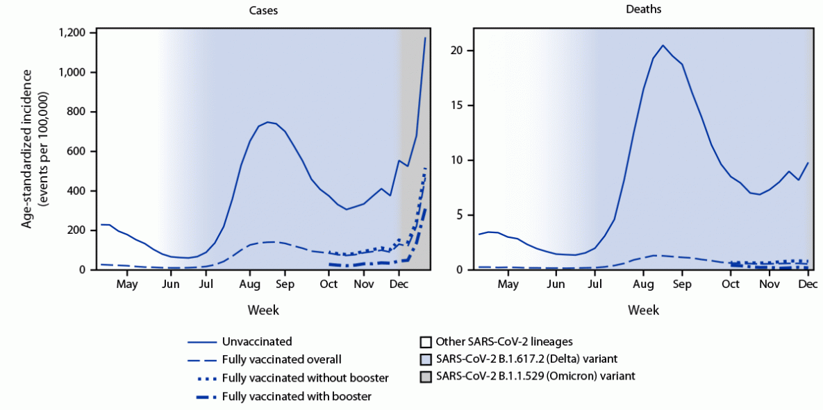 The figure is a two-panel line graph illustrating the weekly trends in age-standardized incidence of COVID-19 cases (during April 4–December 25, 2021) and deaths (during April 4–December 4, 2021) for unvaccinated compared with fully vaccinated persons overall and by receipt of booster doses in 25 U.S. jurisdictions as well as the national weighted estimates of variant proportions.