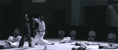 I can't stop looking at this GIF from Ip Man. : gifs