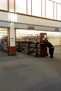 Books Library GIF