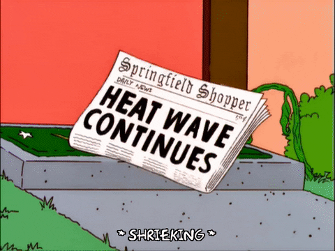 Hot Heat Wave GIF by The Simpsons
