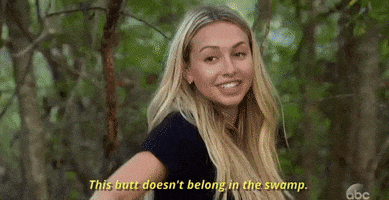 In The Swamp GIFs - Get the best GIF on GIPHY
