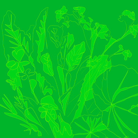 Year 5, Piece Nine: 38. Green Green. Animated loop with green-treated background of a photo of plants with lines drawn on top of them. On top the Hebrew handwritten-text of “Chesed” shows up word by word then letter by letter repeats emanating from the center and disappearing again.