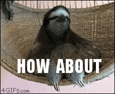 Sloth Reaction GIF