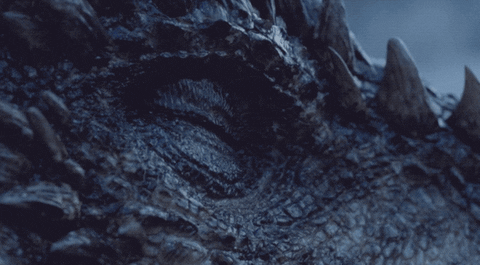 game of thrones GIFs - Primo GIF - Latest Animated GIFs