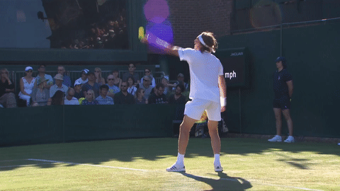 Fail Mens Tennis GIF by Wimbledon - Find & Share on GIPHY