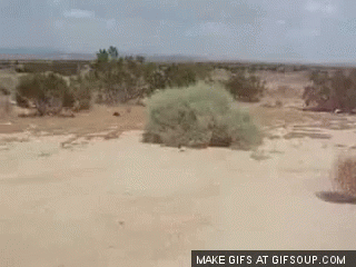 Quiet Desert GIF - Quiet Desert Wnd - Descubre & Comparte GIFs