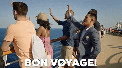 Bon Voyage Goodbye GIF by Hallmark Channel