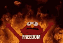 Freedom GIF - Freedom - Discover & Share GIFs