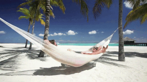 Beach-relaxing GIFs - Get the best GIF on GIPHY