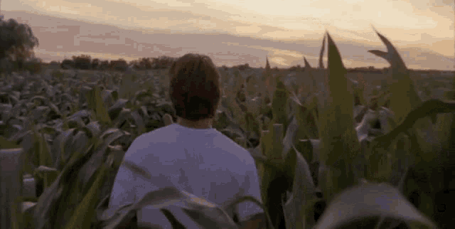 Field Of Dreams Baseball GIF - Field Of Dreams Baseball If You Build It -  Discover & Share GIFs