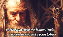 the lord of the rings gifs — Nine companions … so be it. You shall be the...