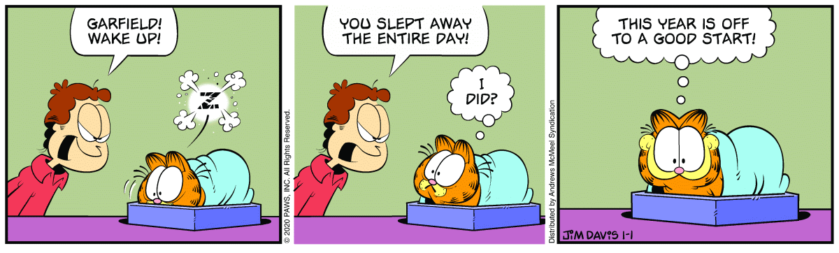 2020 | Garfield Comic Strips Wiki | Fandom