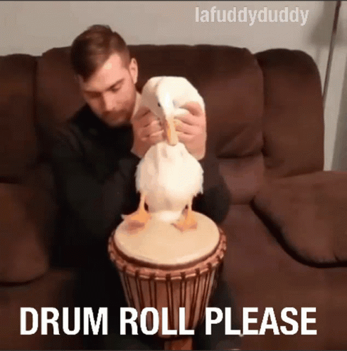 Gif of person holding duck so duck's feet smack drum