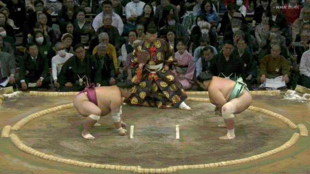 Grand sumo: Kotonowaka (teal) defeats Daieisho (magenta).