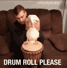 Image description: a very cute duck drumming their little webbed feet on a drum