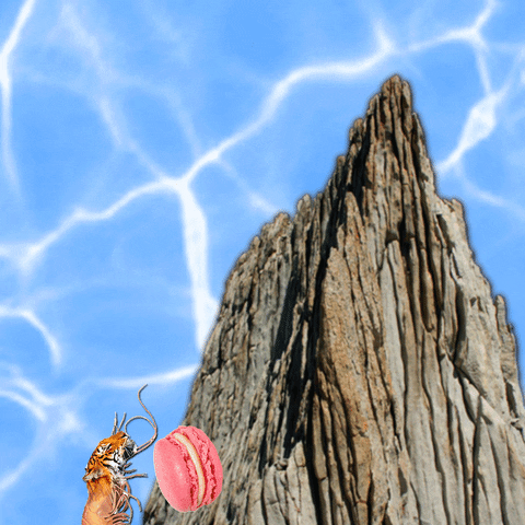 tiger shrimp GIF by Anne Horel - features a half-tiger, half shrimp trying to carry a pink macaron up a mountain and repeatedly falling back down