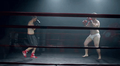 boxing match GIF by Circa Survive