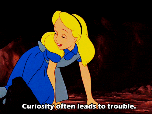 Curiosity-mx GIFs - Get the best GIF on GIPHY