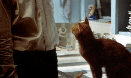 movie gifs — THE LONG GOODBYE (1973) dir. Robert Altman