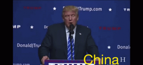China Trump GIF - China Trump Donald Trump - Discover & Share GIFs