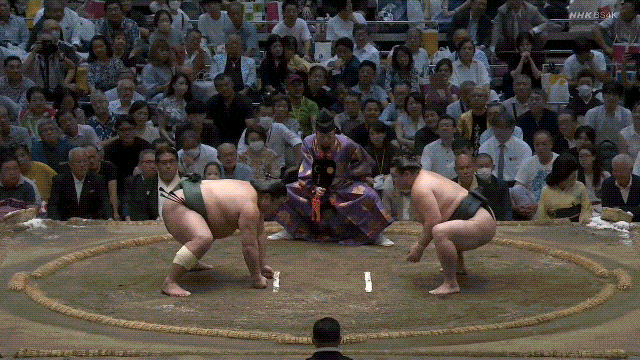 Nishikigi vs. Shodai