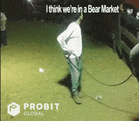 Bull Market GIFs - Find & Share on GIPHY