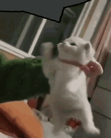 Let Me Go GIFs | Tenor