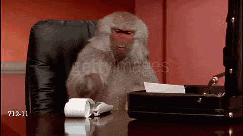 Monkey Business Calculating GIF - Monkey Business Calculating Frustrated -  Discover & Share GIFs