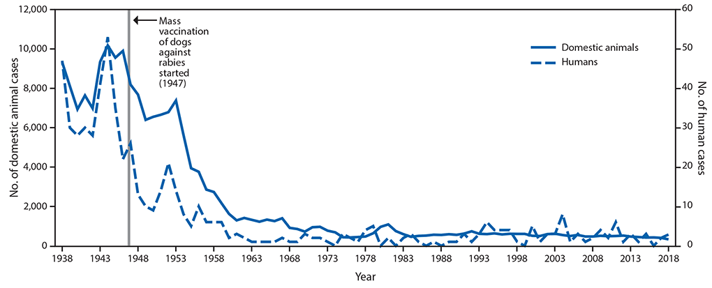 The figure is a line graph showing the number of rabies cases in humans and domestic animals in the United States during 1938–2018.
