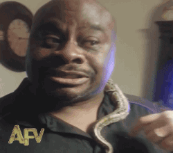 Video: Man is Hilariously Scared of Snakes. on Make a GIF