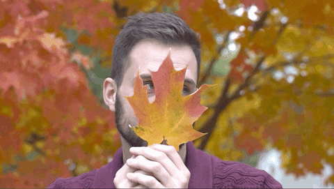 Autumn-girls GIFs - Get the best GIF on GIPHY