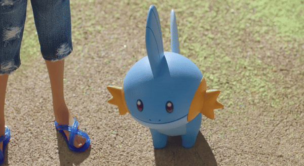 Here is Mudkip in Pokemon Concierge. I don't have a point other than I  would die for him and his wiggly tail. : r/pokemon