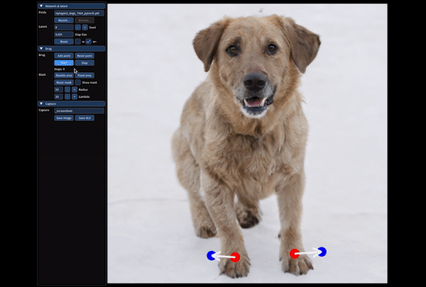 DragGAN demo GIF where a dog is manipulated in different ways