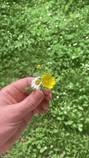 a hand spinning three small flowers against a backdrop of grass