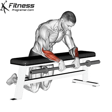 Barbell Reverse Wrist Curl Over A Bench » Workout Planner