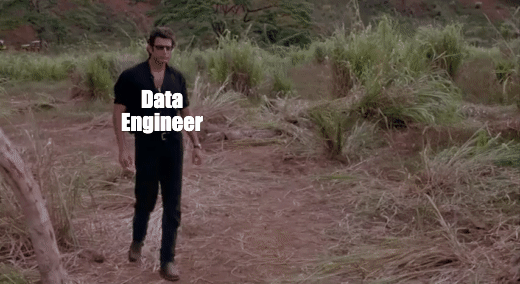 data engineer; shit ai data