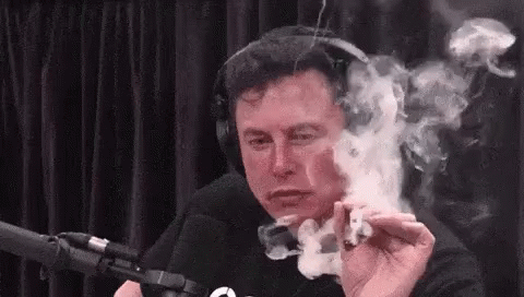 CoinMarketCap News, Nov 7: It's All Elon, All the Time, and It's Exhausting  | CoinMarketCap